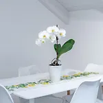 Dimora Zagara Apartment *