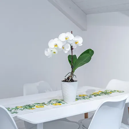 Dimora Zagara Appartement *